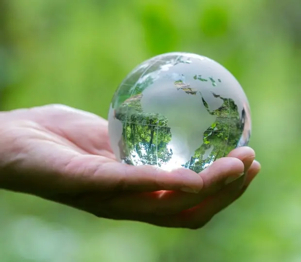 画像：カーボンニュートラルに取り組みたい